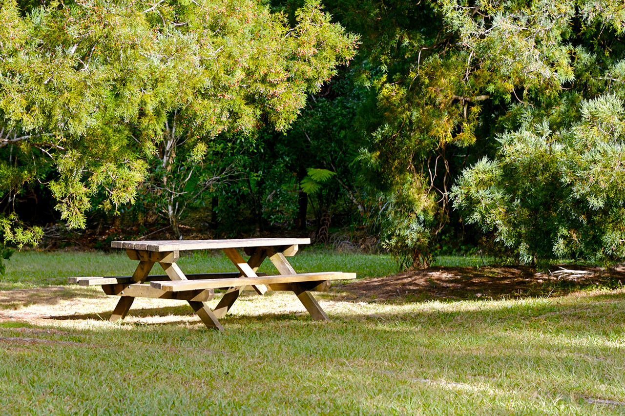 Wooden-picnic-table-in-a-park-near-trees